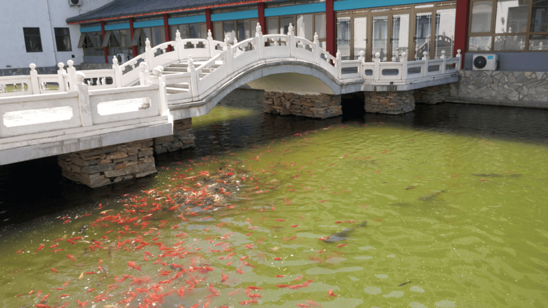 老院|鲁谷和悦会养老照料中心|设施服务参观预约查询攻略凯发K8国际版2026最新|医养结合中高端气切护理养(图45) 老院|鲁谷和悦会养老照料中心|设施服务参观预约查询攻略凯发K8国际版2026最新|医养结合中高端气切护理养(图45)